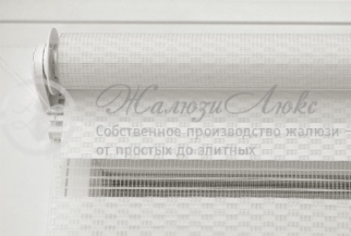 MINI-ЗЕБРА