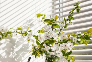 Жалюзи «день-ночь»: особенности, преимущества и принцип работы